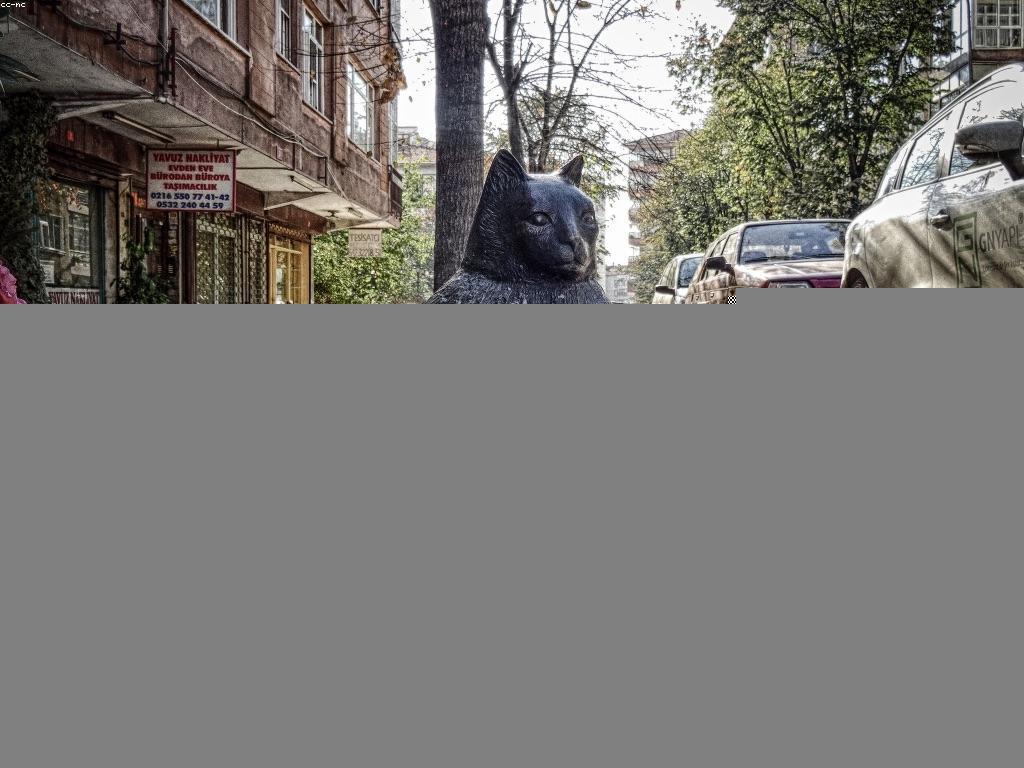 ផលប៉ះពាល់នៃព័ត៌មានថ្មីៗលើការអប់រំ